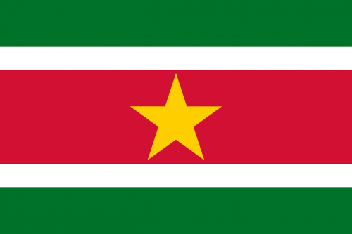 suriname flag national flag