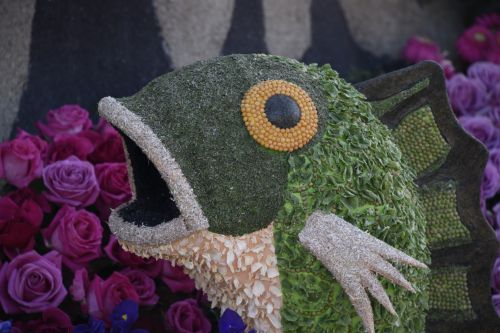 Surprised Fish Rose Parade