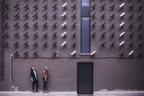 surveillance bricks cameras
