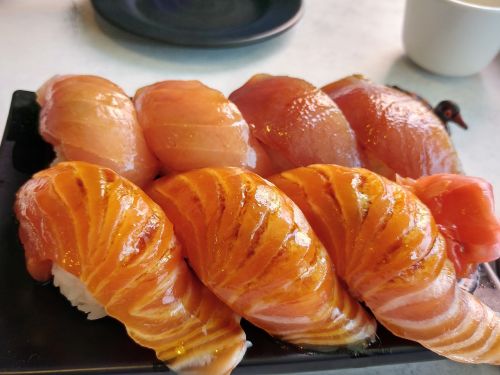 sushi salmon food