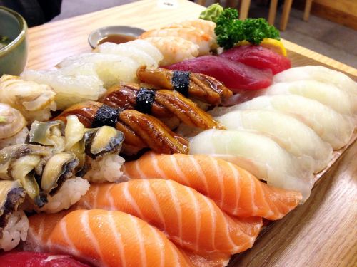 sushi japanese salmon