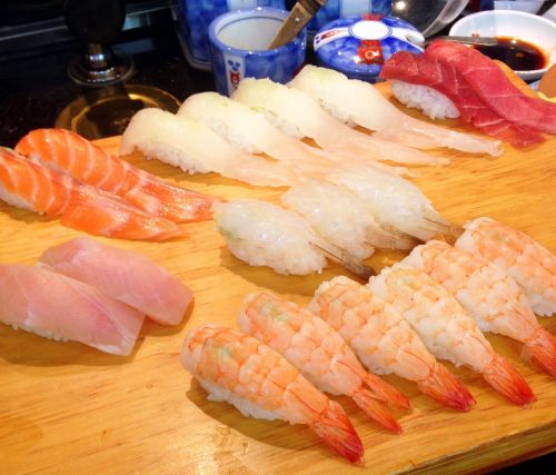 sushi japanese salmon