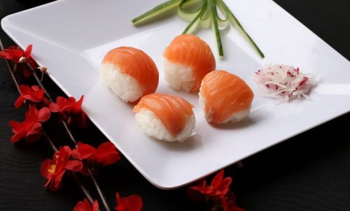 sushi japanese food japanese