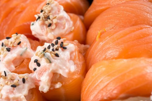 sushi salmon niguiri
