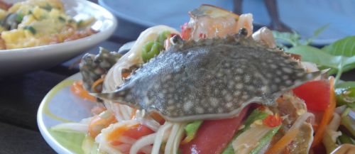 Sushi Crab Salad