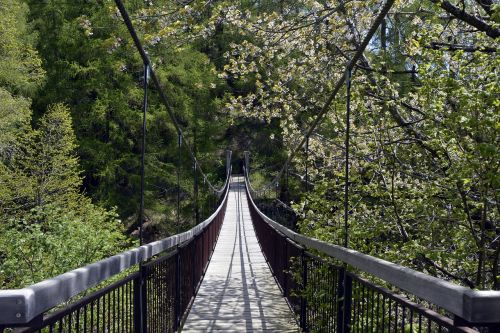 suspension bridge bridge transition