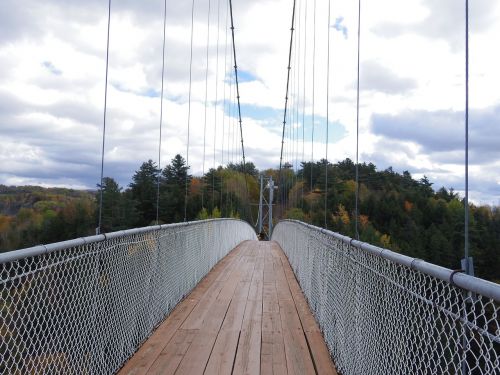 suspension bridge valley natural