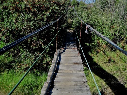 Suspension Bridge Over Sterkspruit