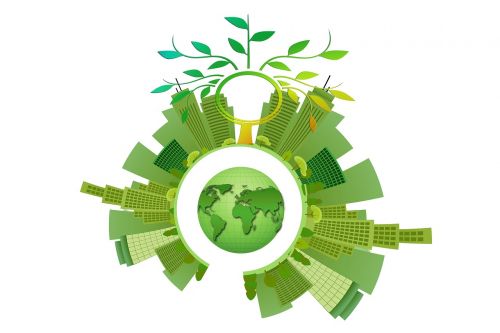 sustainability energy tree