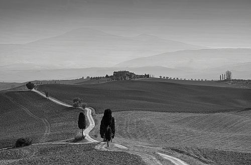 sw tuscany landscape cypress