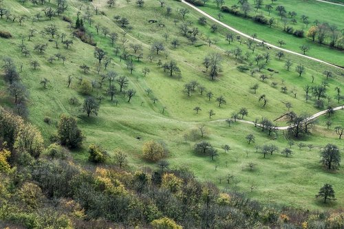 swabian alb  landscape  alb