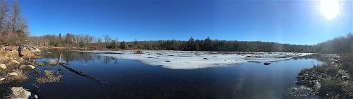 swamp sunlight winter