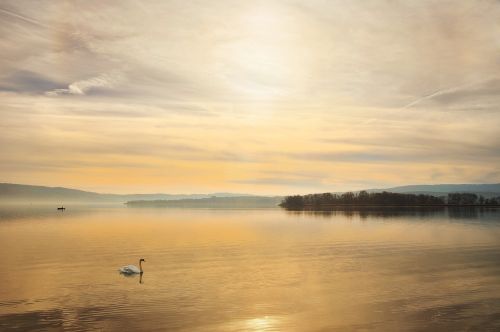 swan lake constance lake