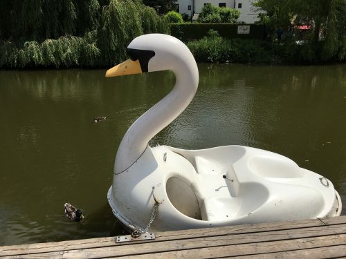 swan boot rowing boat