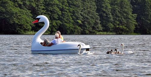 swan leader boat