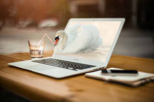 swan  laptop  mac