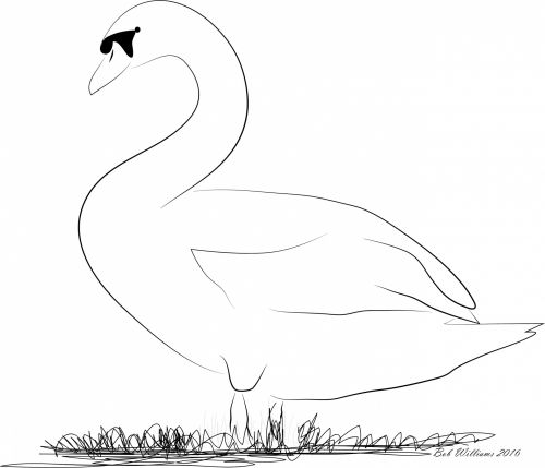 Swan Vector