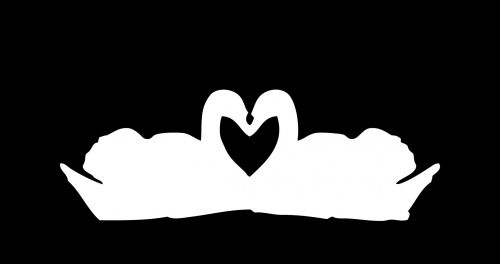 Swans Love Heart Clipart