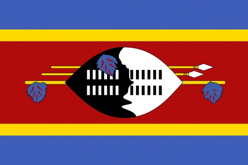 swaziland flag national flag