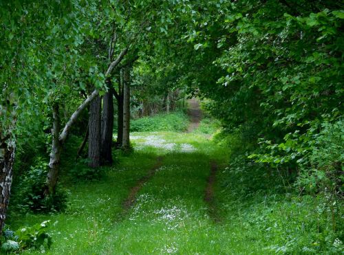 sweden summer kinnekulle