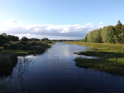 sweden  lake  nature