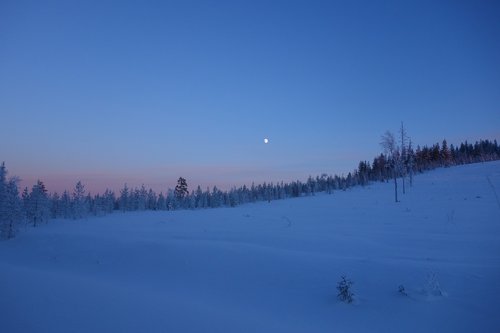 sweden  nature  landscape