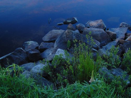 sweden lake bank