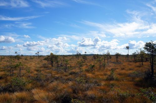sweden nature landscape