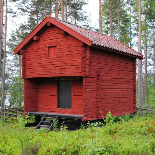 sweden building forest