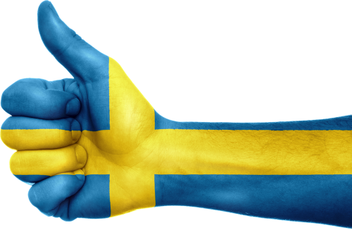 sweden flag hand