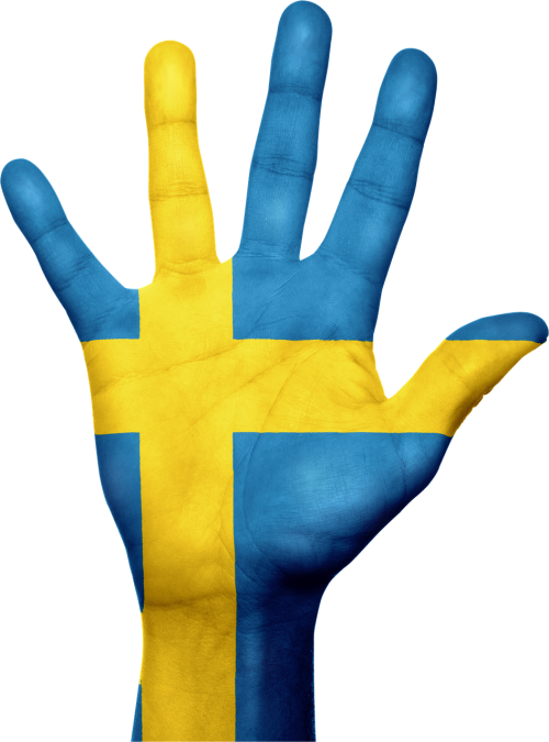 sweden flag hand