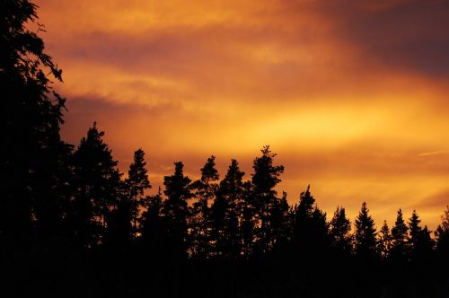 swedish nature sunset