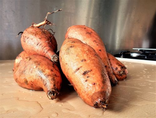 sweet patatoes food carb