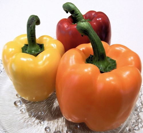 sweet peppers red yellow