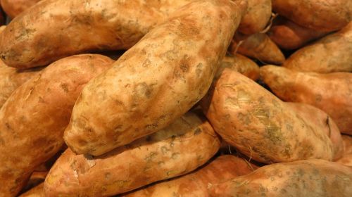 sweet potatoes root starchy
