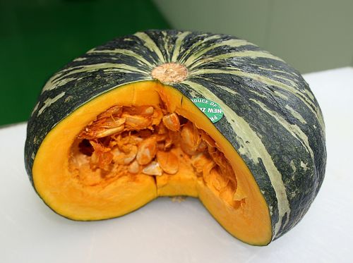sweet pumpkin food ingredients vegetable