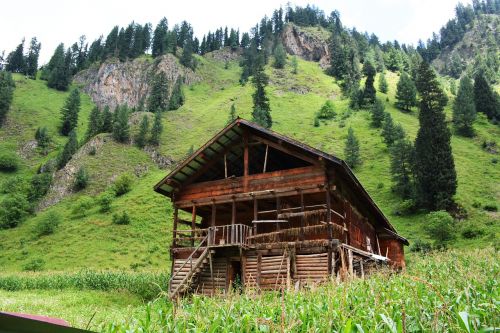 sweet wooden home green kashmir