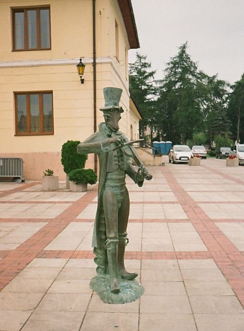 Cricket In Szczebrzeszyn