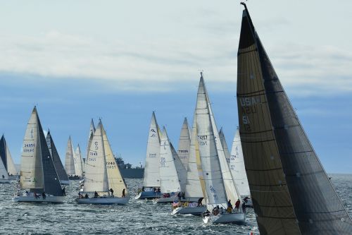swiftsure yacht race