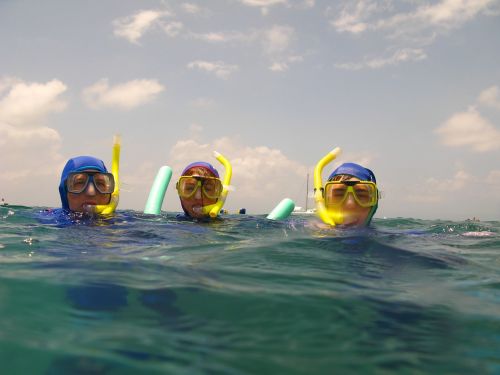 swimming snorkelling water