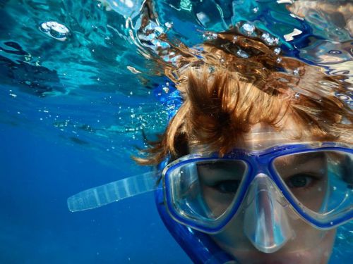 swimming snorkeling ocean