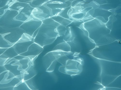 swimming pool water mirroring
