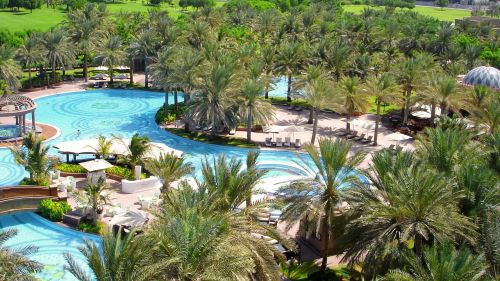 swimming pool palm trees garden