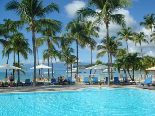 swimming pool palm sea