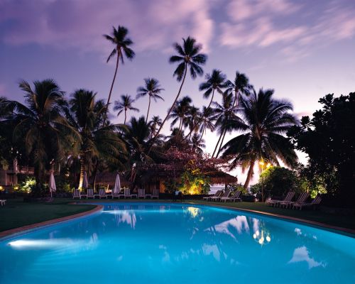 swimming pool palm trees resort