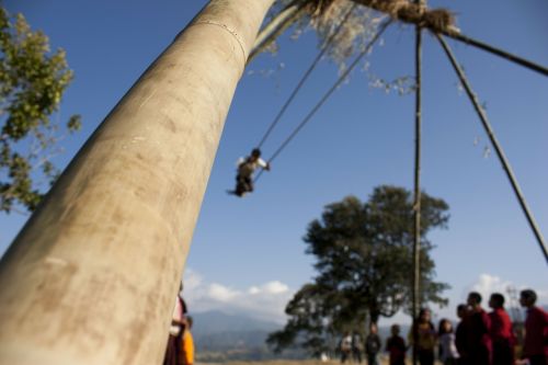 swing bamboo swinging