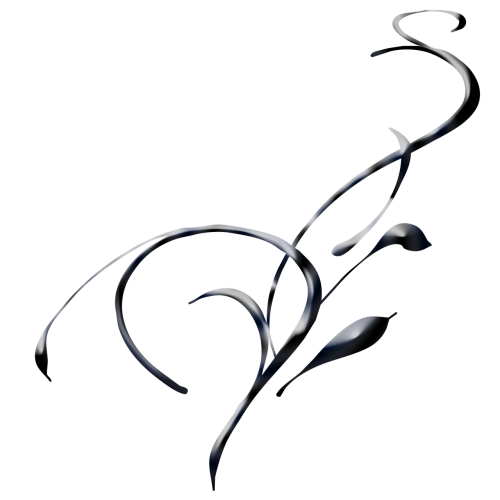 swirl abstract black satin elegant design curved shape