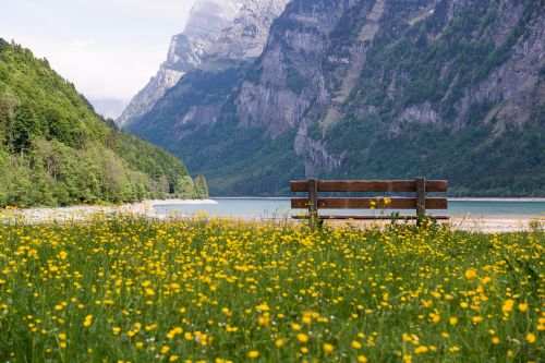 swiss alpine switzerland