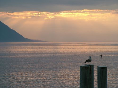 switzerland montreux lake geneva