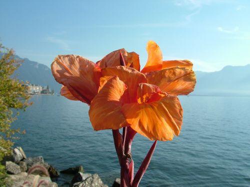 switzerland montreux lake geneva